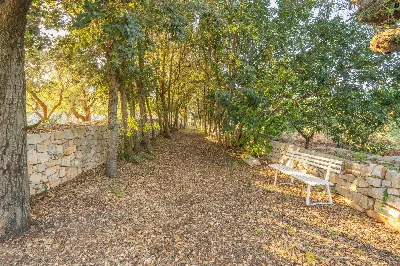 Rustico/Casale in vendita a Fasano - foto 9