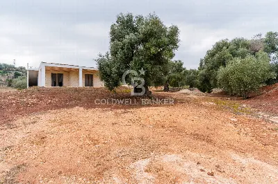 Villa in vendita a Ostuni - foto 2