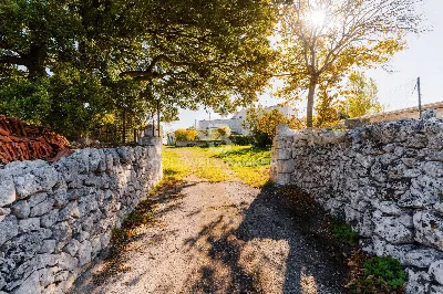 Rustico/Casale in vendita a Putignano - foto 2