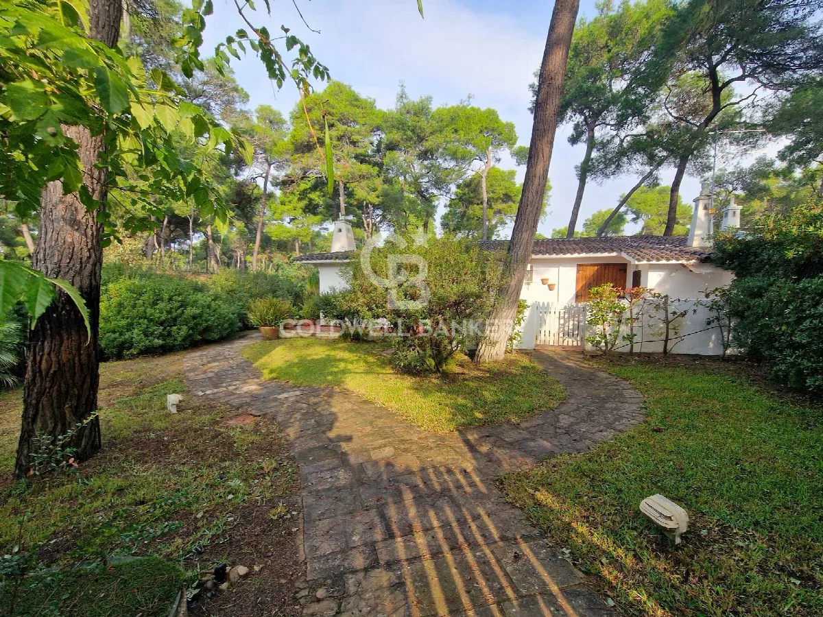 Villa in vendita a Castellaneta - foto 2