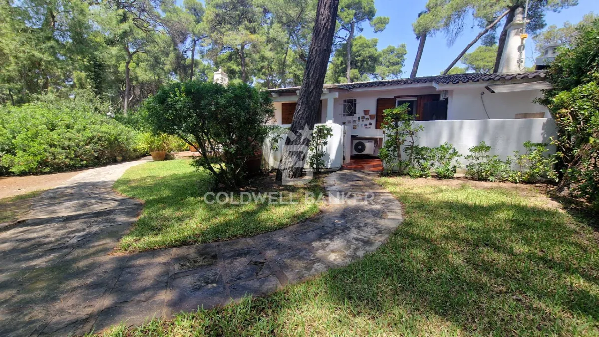 Villa in vendita a Castellaneta - foto 3