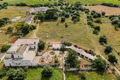 Rustico/Casale in vendita a Monopoli - foto 10
