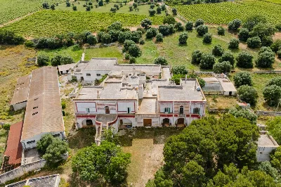 Rustico/Casale in vendita a Monopoli - foto 7