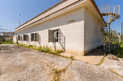 Villa in vendita a Corato - foto 5