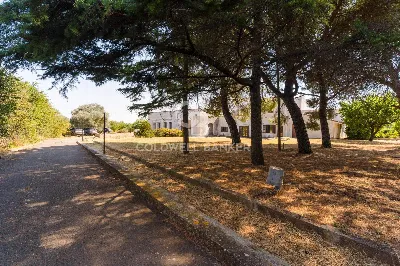 Casa Indipendente in vendita a Gioia del C... - foto 2