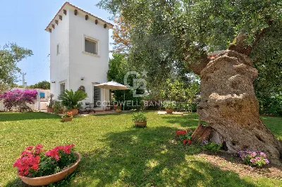Rustico/Casale in vendita a Ginosa - foto 3