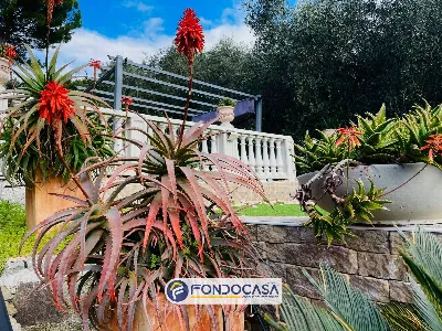 Casa Indipendente in vendita a Andora - foto 6