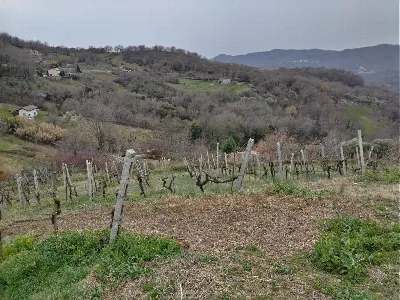 Villa in vendita a Montano Antilia - foto 5