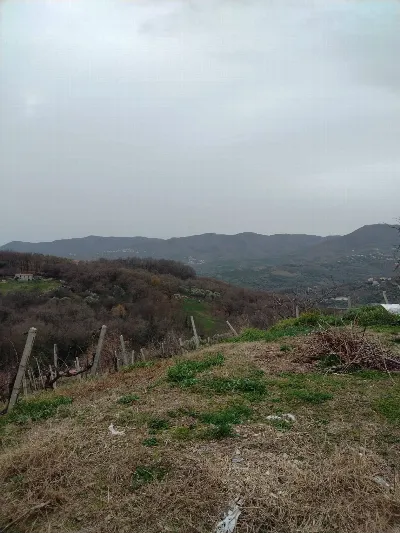 Villa in vendita a Montano Antilia - foto 6