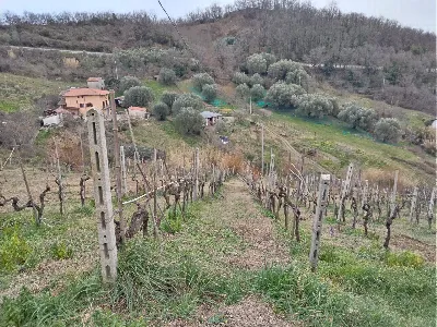 Villa in vendita a Montano Antilia - foto 7