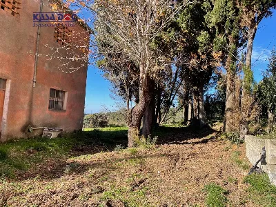 Rustico/Casale in vendita a Tiriolo - foto 2