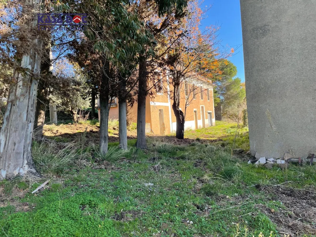 Rustico/Casale in vendita a Tiriolo - foto 3