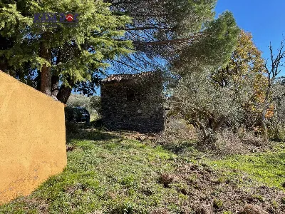 Rustico/Casale in vendita a Tiriolo - foto 4