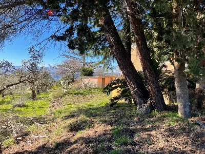 Rustico/Casale in vendita a Tiriolo - foto 6