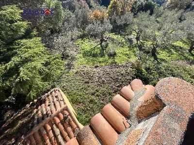 Rustico/Casale in vendita a Tiriolo - foto 7