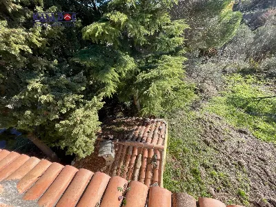 Rustico/Casale in vendita a Tiriolo - foto 8