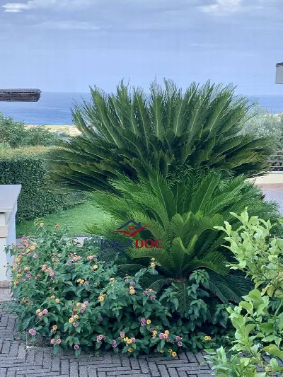 Villa in vendita a Montepaone - foto 4