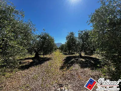 Villa in vendita a Fondi - foto 10