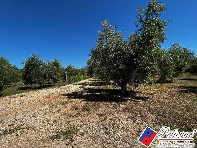 Villa in vendita a Fondi - foto 5