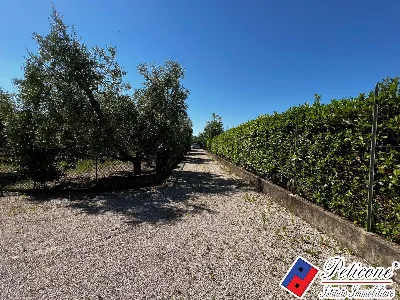 Villa in vendita a Fondi - foto 7