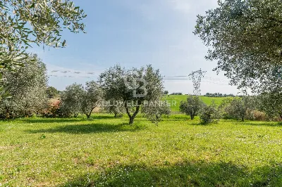 Villa in vendita a Misano Adriatico - foto 8