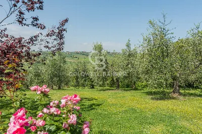 Villa in vendita a San Clemente - foto 10