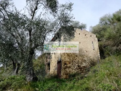 Rustico/Casale in vendita a Perinaldo - foto 1