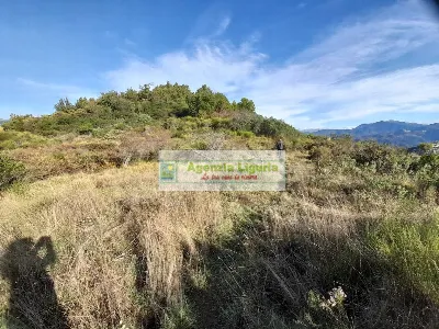 Rustico/Casale in vendita a Dolceacqua - foto 10