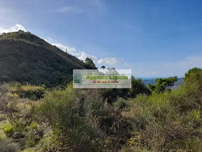 Rustico/Casale in vendita a Dolceacqua - foto 2