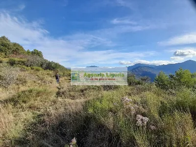 Rustico/Casale in vendita a Dolceacqua - foto 3