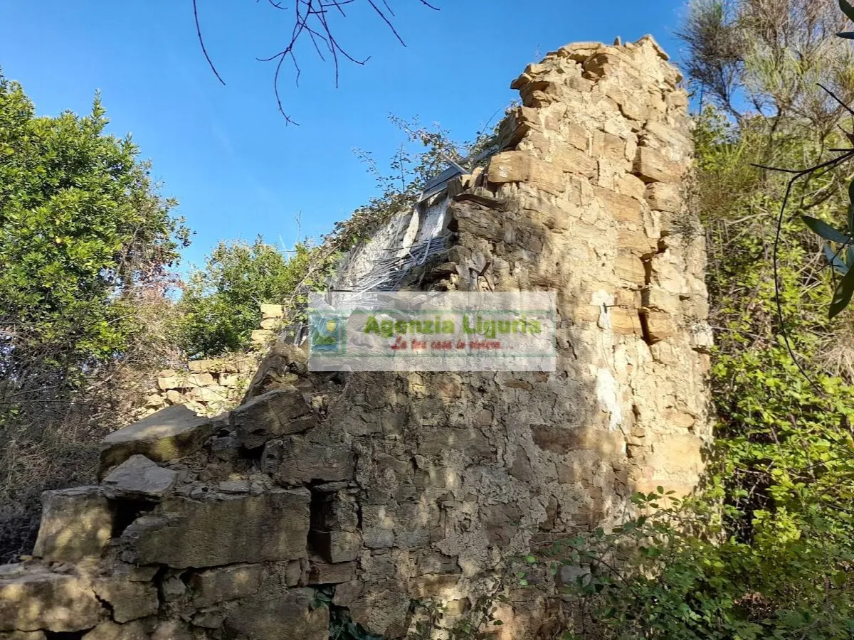 Rustico/Casale in vendita a Dolceacqua - foto 4