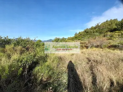 Rustico/Casale in vendita a Dolceacqua - foto 6