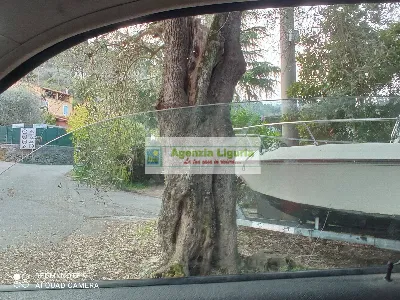 Rustico/Casale in vendita a Perinaldo - foto 2