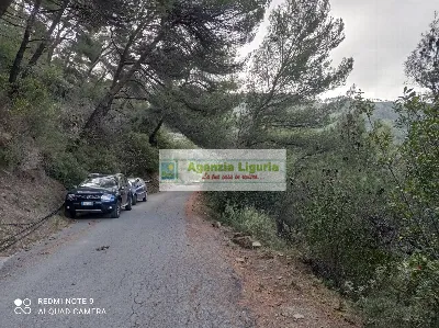 Rustico/Casale in vendita a Perinaldo - foto 3