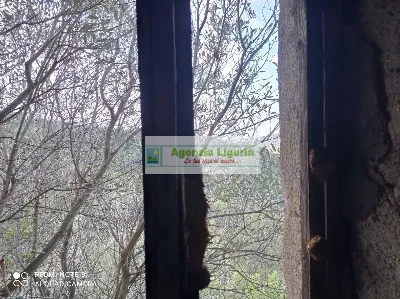 Rustico/Casale in vendita a Perinaldo - foto 6