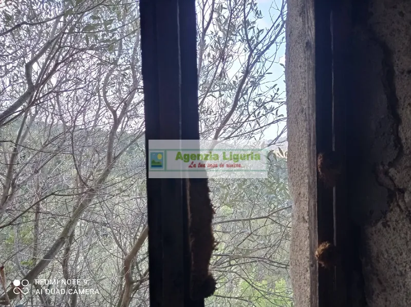 Rustico/Casale in vendita a Perinaldo - foto 6