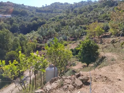 Villa in vendita a Soldano - foto 3