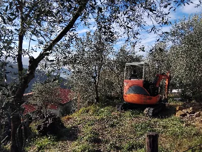 Villa in vendita a Perinaldo - foto 5
