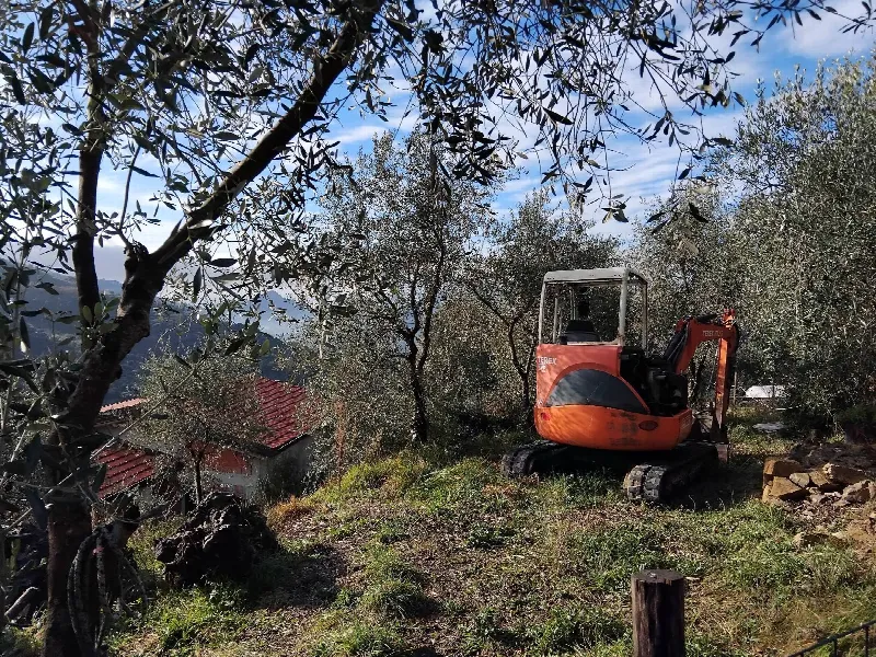 Villa in vendita a Perinaldo - foto 5