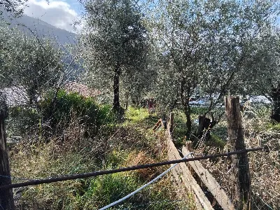 Villa in vendita a Perinaldo - foto 6