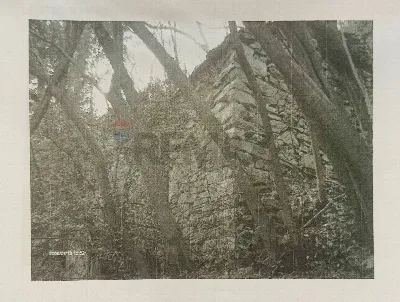 Rustico/Casale in vendita a Cannobio - foto 10