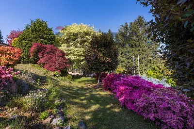 Villa in vendita a Varese, Ippodromo, San ... - foto 7