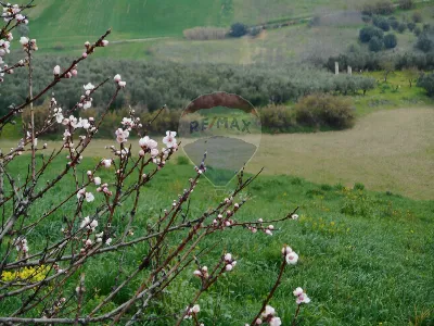 Rustico/Casale in vendita a Lanciano - foto 10