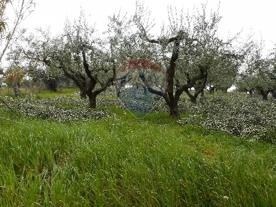 Rustico/Casale in vendita a Lanciano - foto 9