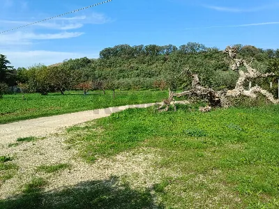 Rustico/Casale in vendita a Torino di Sang... - foto 10
