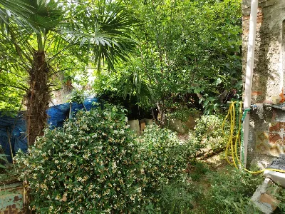 Casa Indipendente in vendita a Guardiagrel... - foto 9