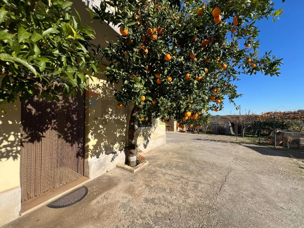 Rustico/Casale in vendita a Fossacesia - foto 3