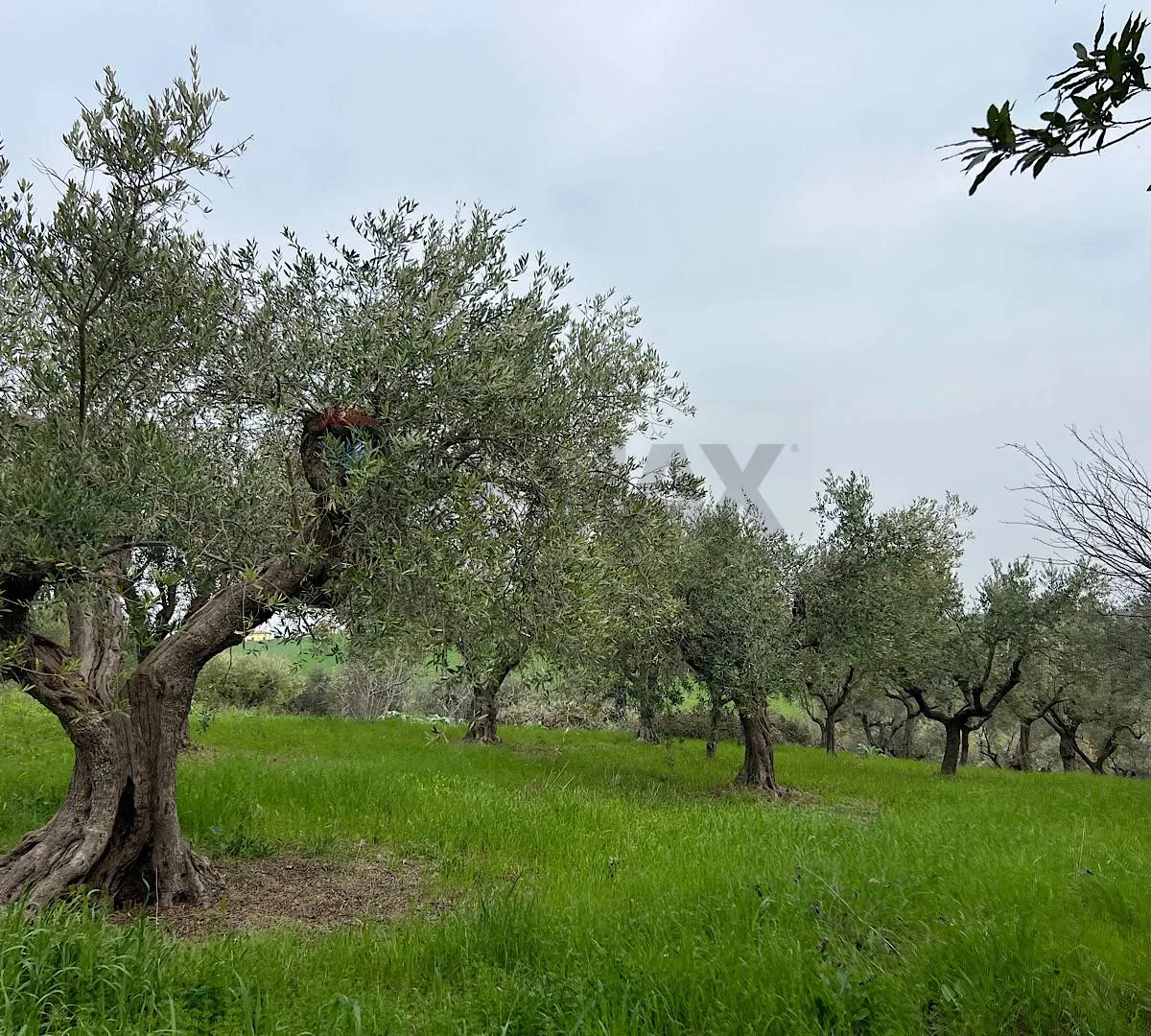 Rustico/Casale in vendita a Sant'Eusanio del Sangro - foto 5