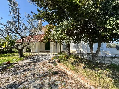 Villa in vendita a Casalbordino - foto 3