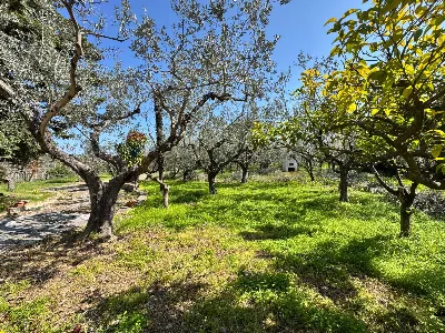 Villa in vendita a Casalbordino - foto 7